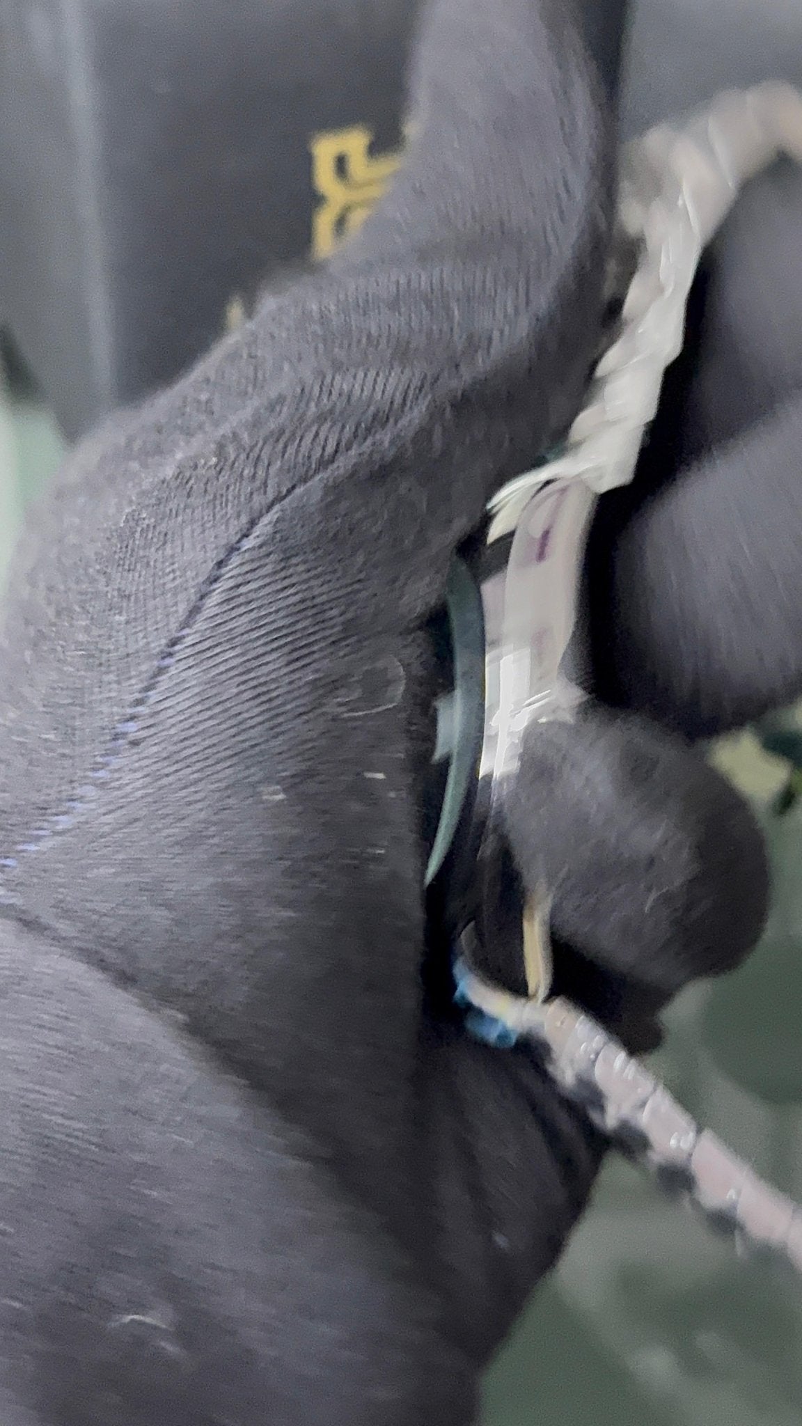 Tissot PRX 1853 Green Dail () - Premium | Huzien